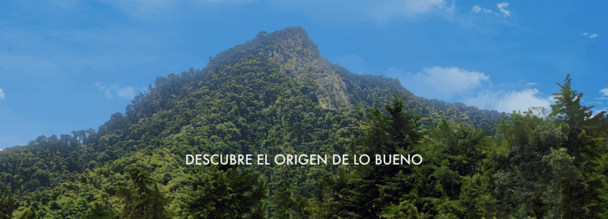 Banner tours desktop