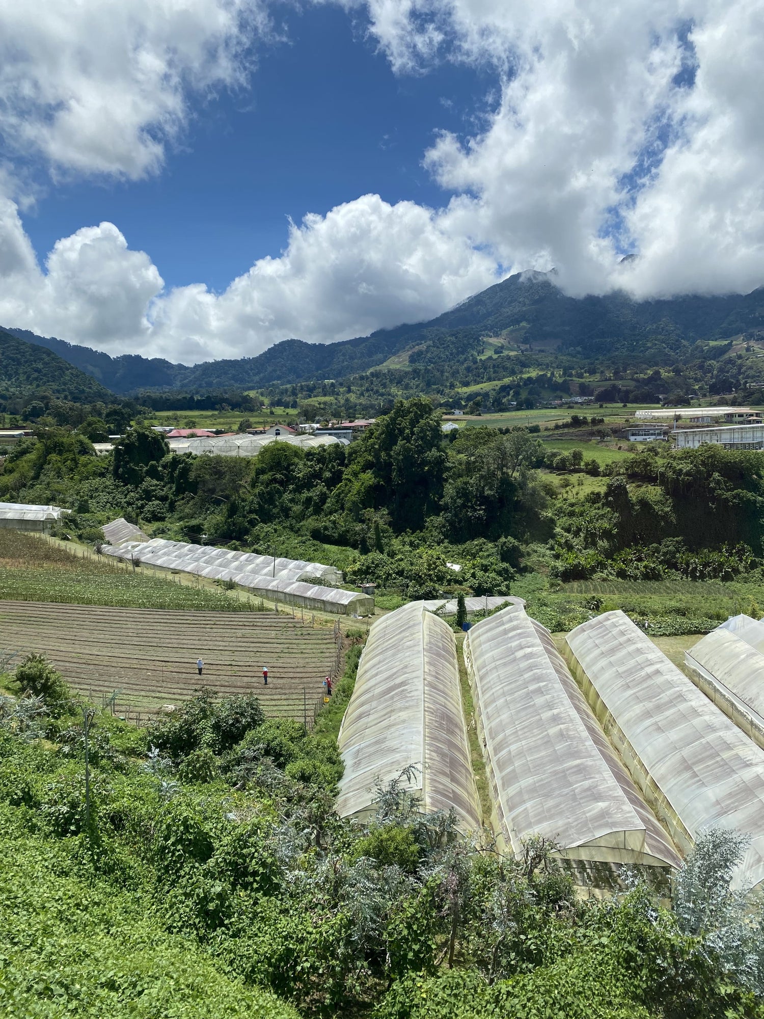 Explora la belleza natural de Cerro Punta: Aventura Y Maravillas en Nuestro Tour
