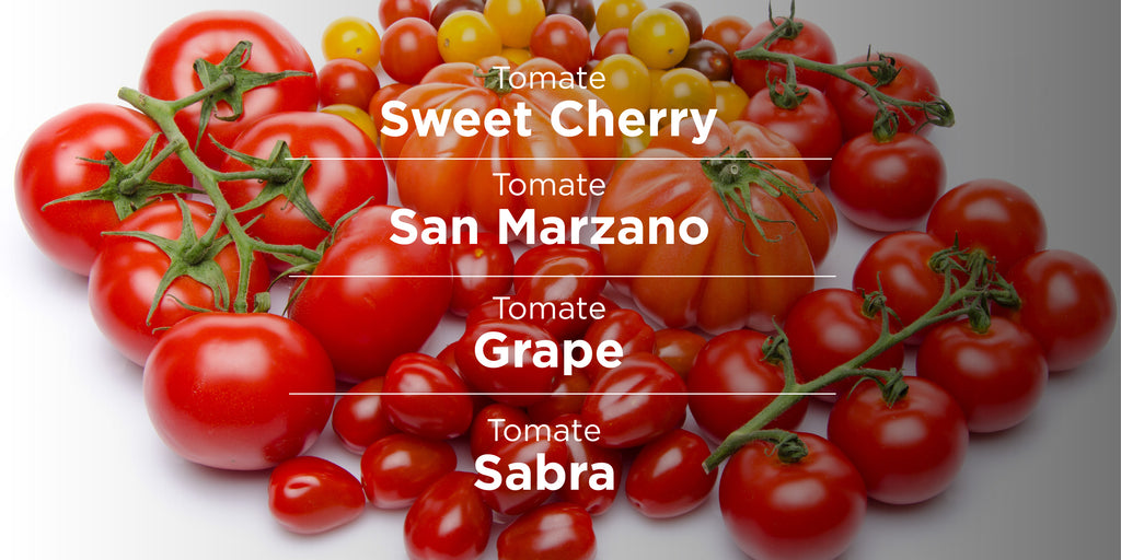 ¿Conoces la variedad y diferencia de tomates Cerro Punta?