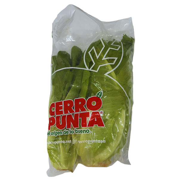 Lechuga Romana hidroponica Nac - 600g