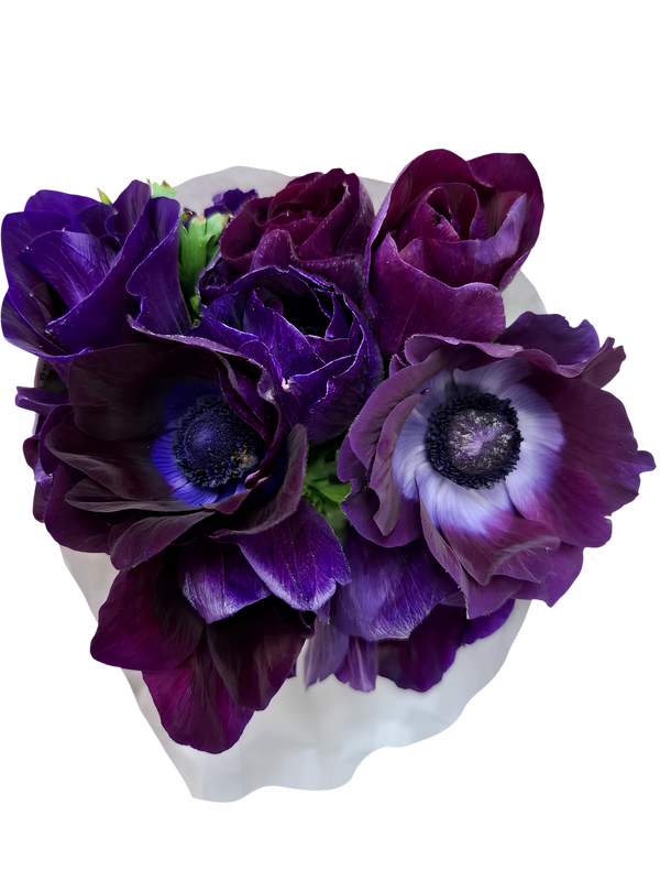 Morado fuerte