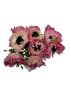 Rosado
