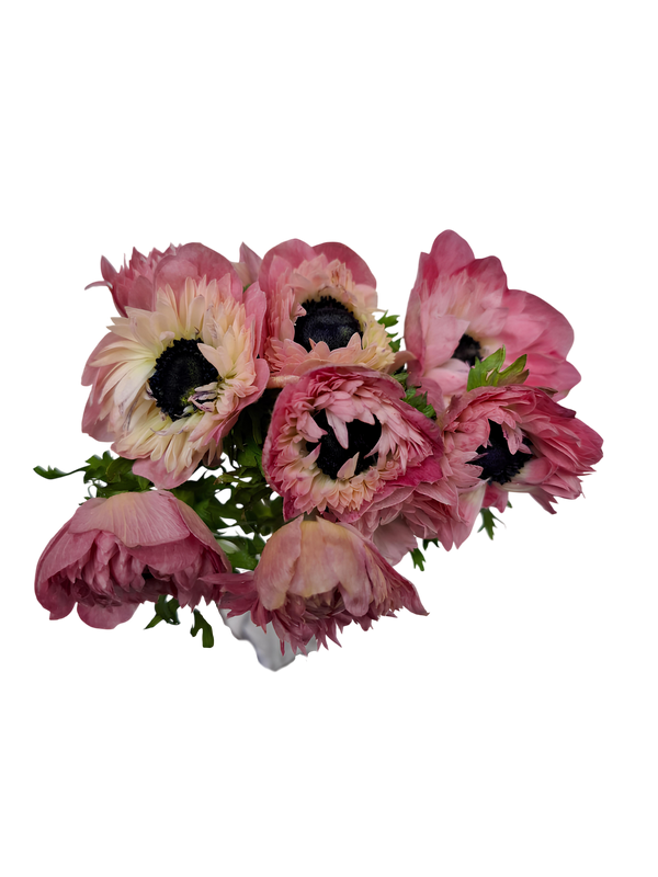 Rosado