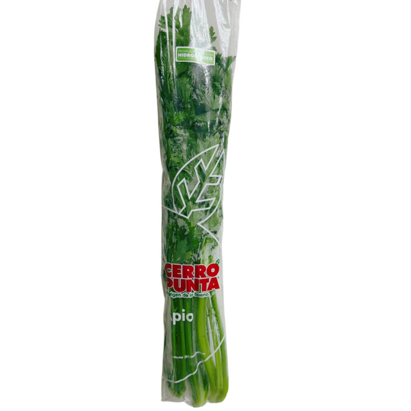 Apio Hidropónico ( Mazo 250gr )