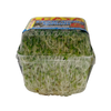 Alfalfa Canasta Imp ( 113g )