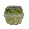 Alfalfa Canasta Imp ( 113g )