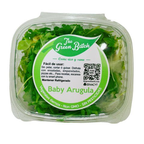 Microgreens Baby Arugula