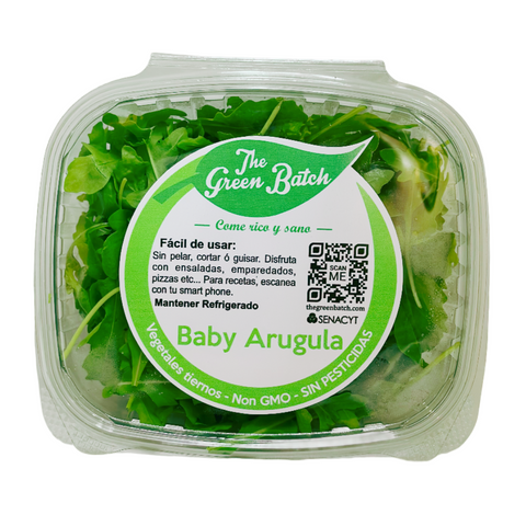 Microgreens Baby Arugula