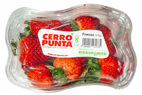 Frutas