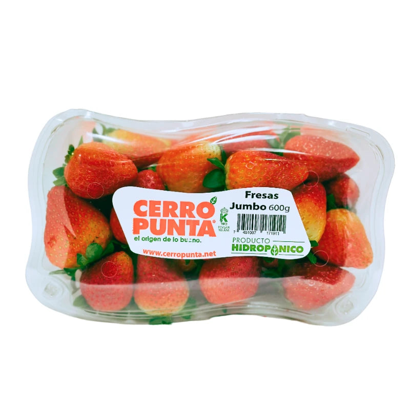 Fresas hidropónicas 600g