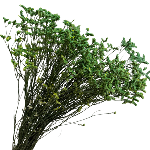 Tinturado Verde
