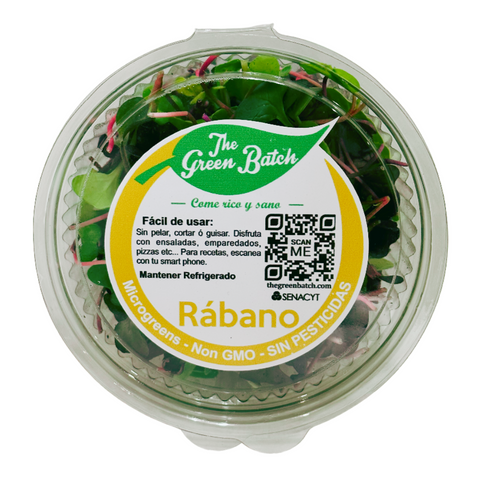 Microgreens Rabano Morado