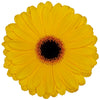 Amarilla