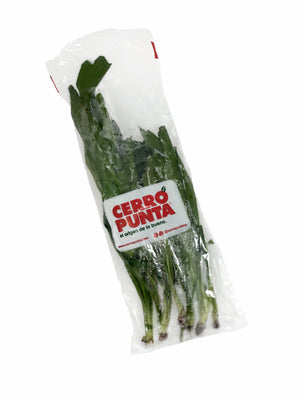 Culantro (65g)