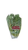 Lechuga Romana Hidroponica