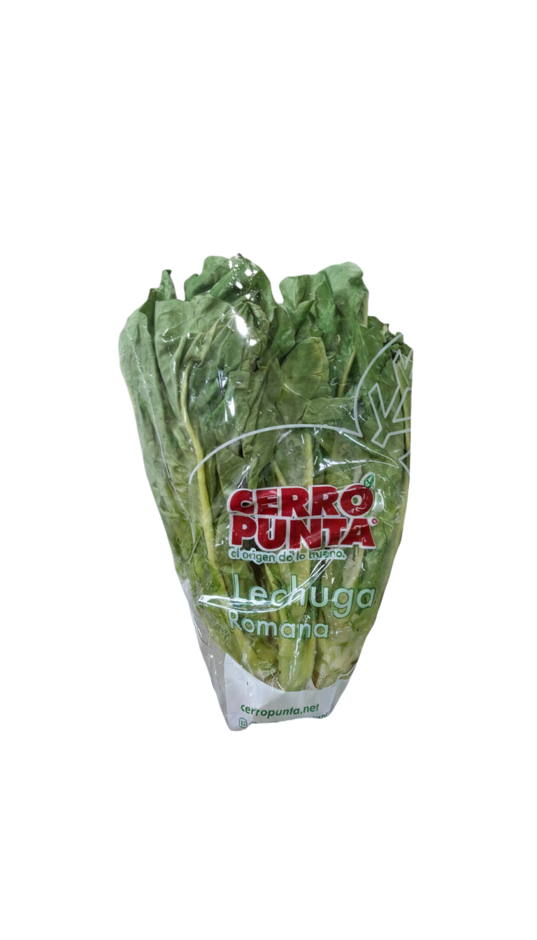 Lechuga Romana Hidroponica
