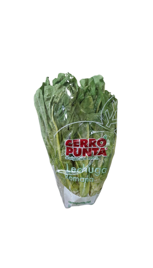 Lechuga Romana Hidroponica