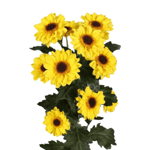 Amarillo
