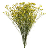 Tinturado Amarillo