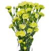 Verder Limon