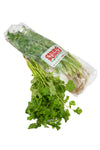 Cilantro (25g)