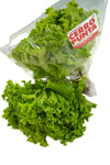 Lechuga Crespita Verde Hidropónica (1 unidad)