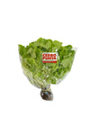 Lechuga Roble Verde Hidropónica (1 unidad)