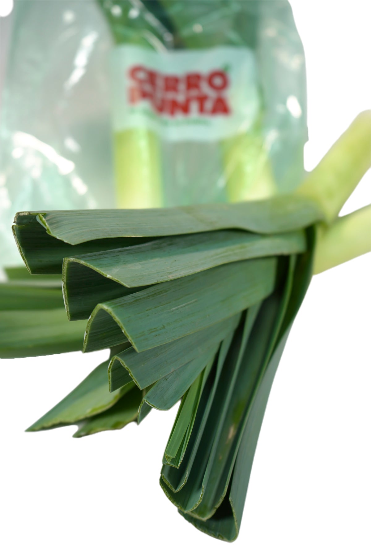 Puerro (500g)
