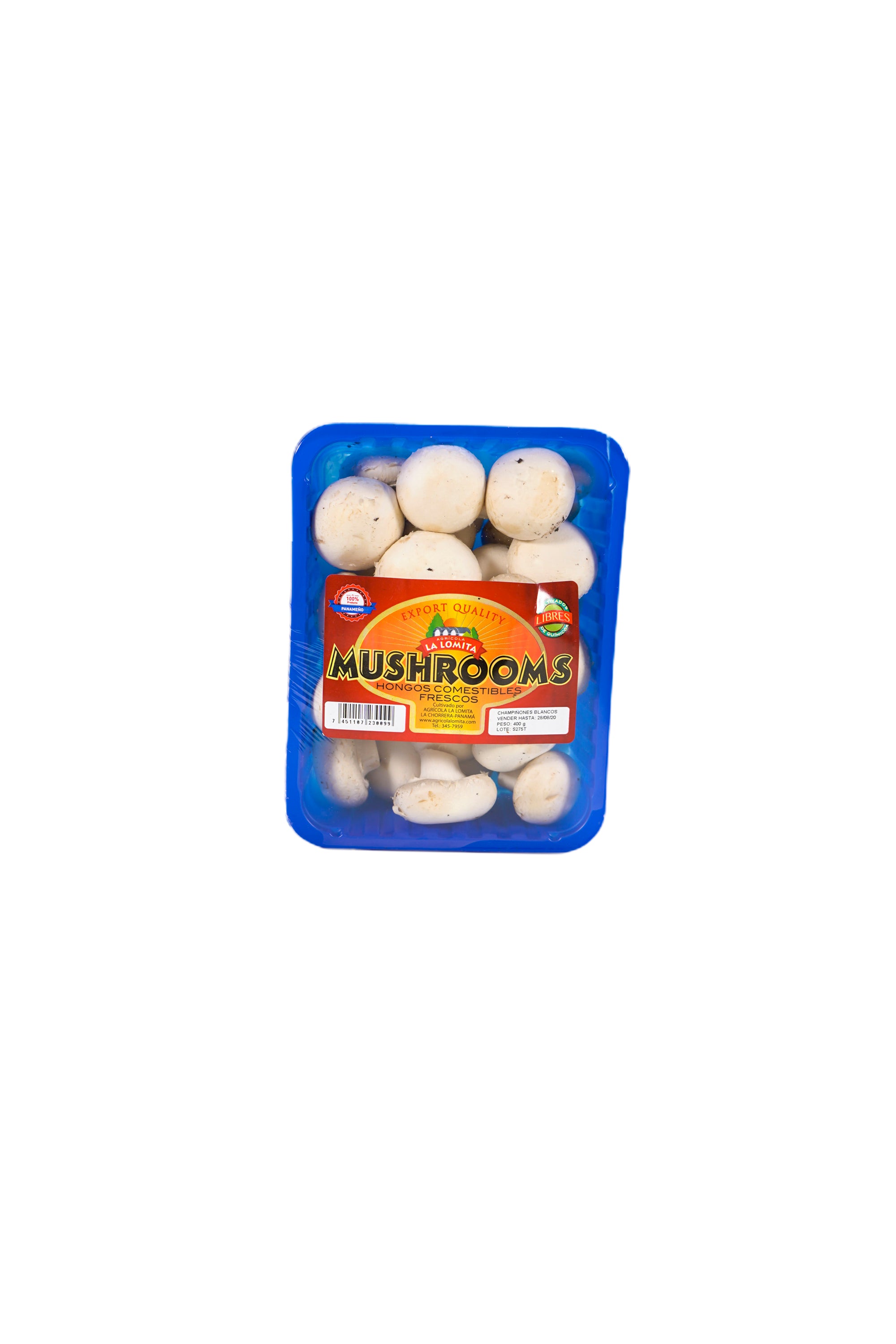 Hongos frescos chico (227g)