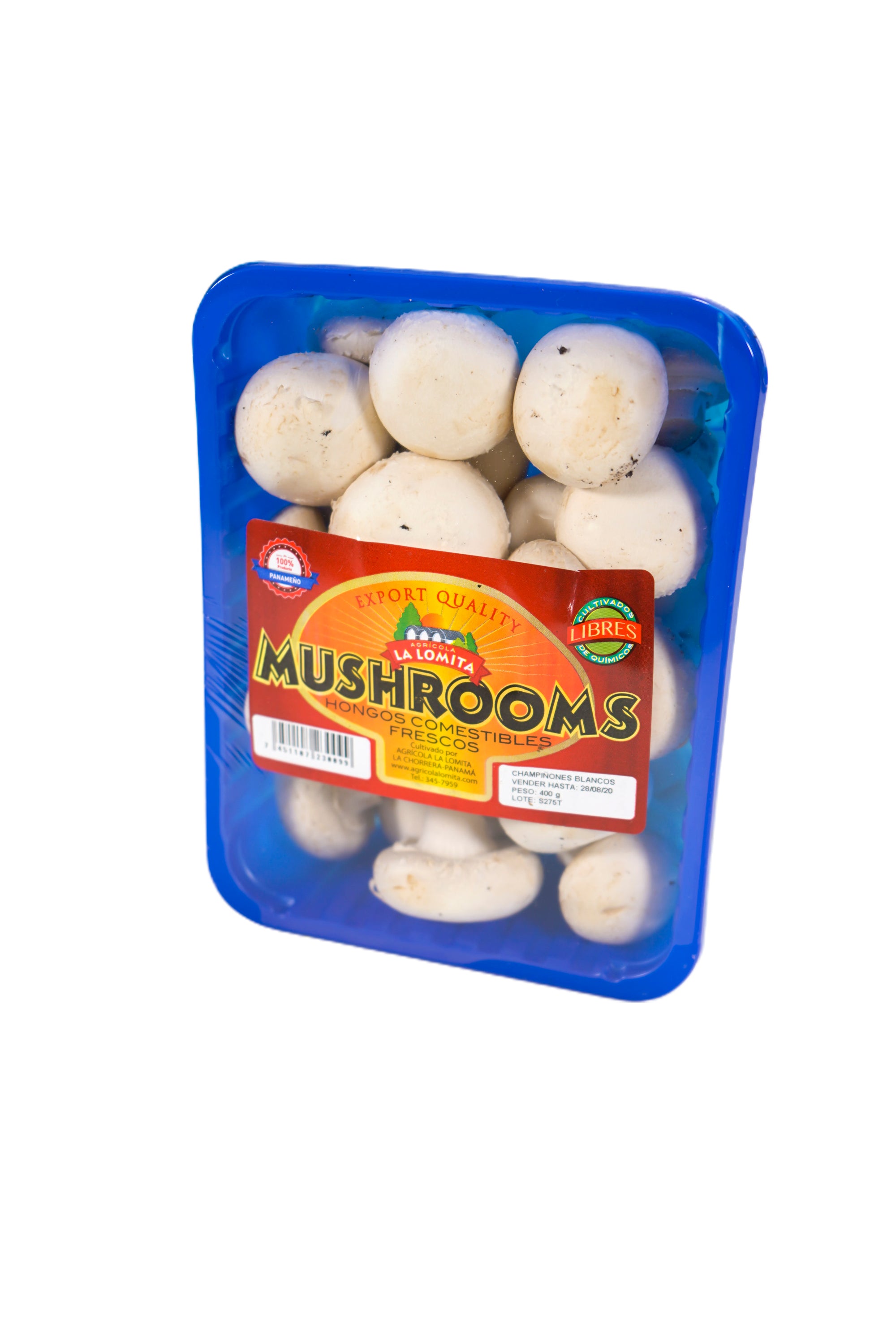 Hongos frescos chico (227g)