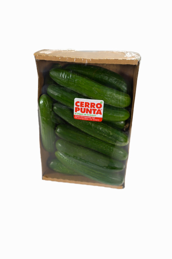 Pepino Sin Semilla Hidropónico (1.36 kilos)