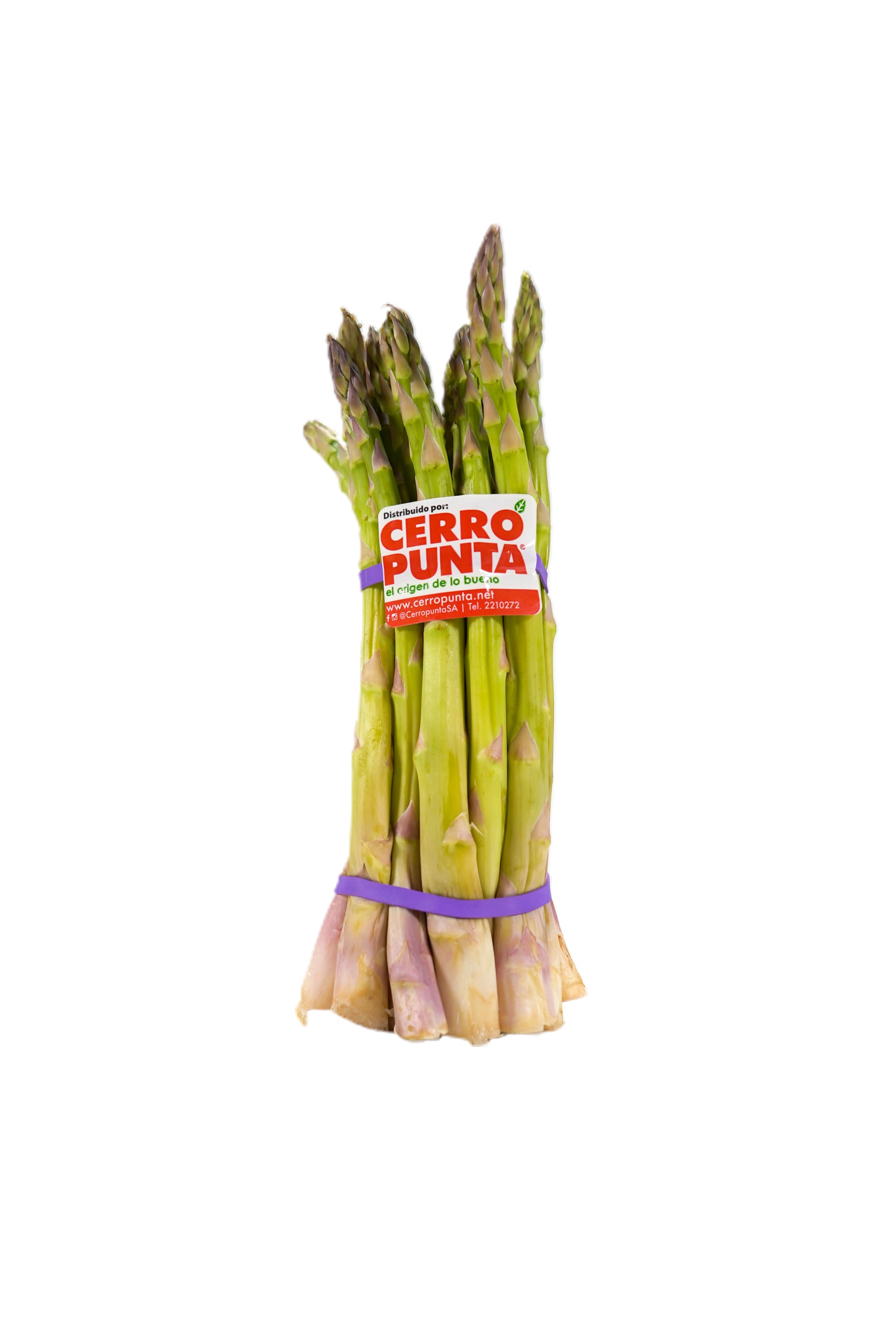 Espárragos (454g)