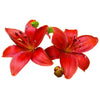 Rojos