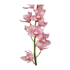 Rosado