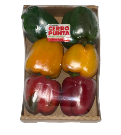 Pimentón Mixto (1kg)