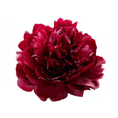 Peonia (1 tallo)