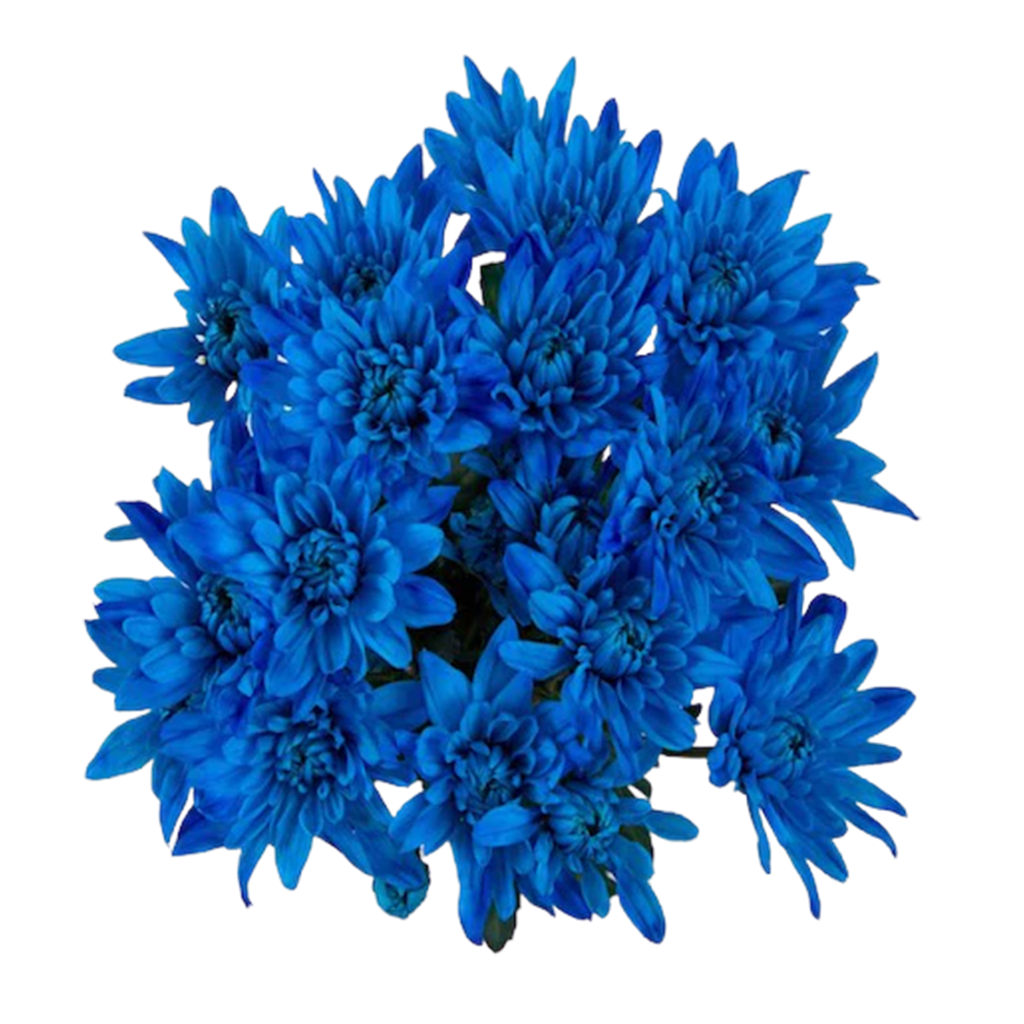 Azul