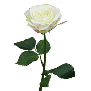Blancas