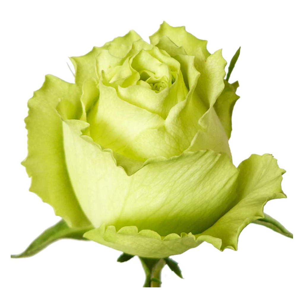Verdes