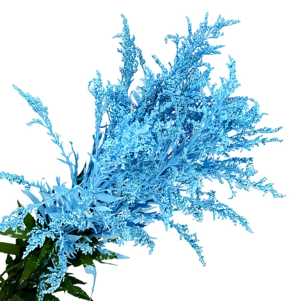 Solidago Tinturado (10 tallos)