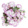 Blanco con borde morado