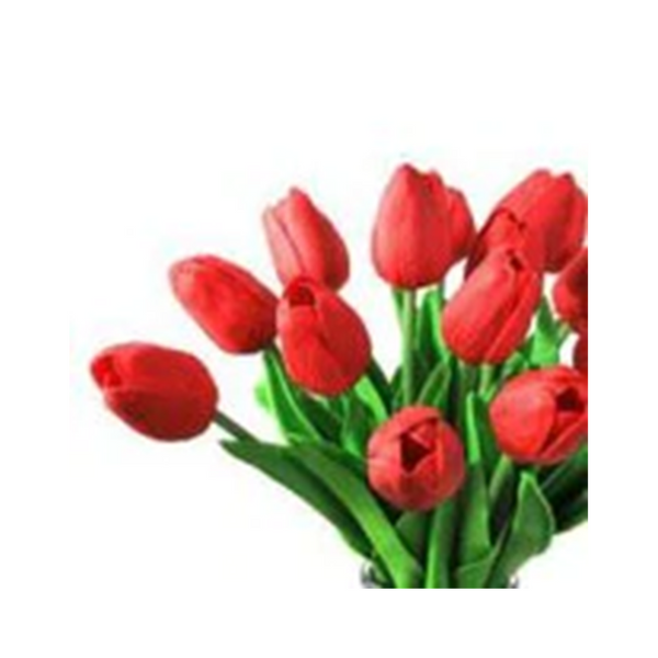 Rojos