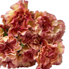 Amarillo matizado con rosado