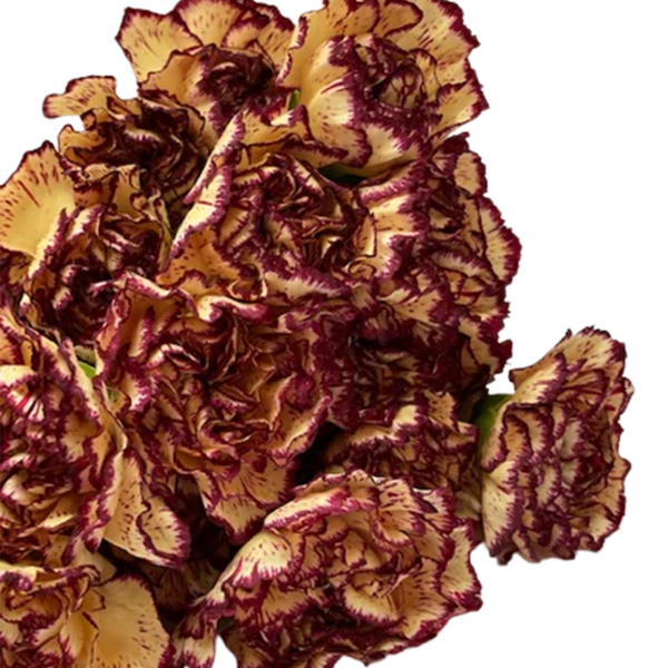 Amarillo matizado con vino