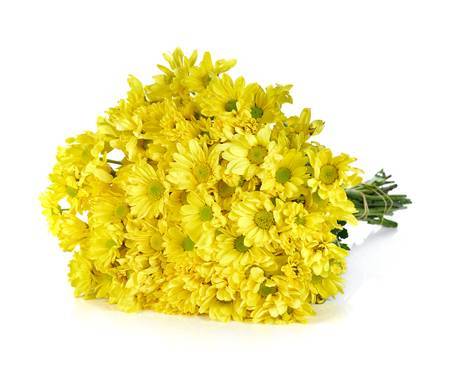 Amarillo