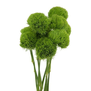 Green Ball (5 Tallos)