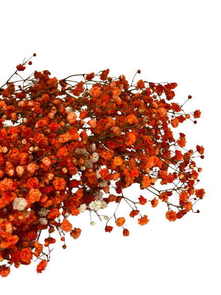 anaranjado