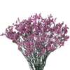 Rosado
