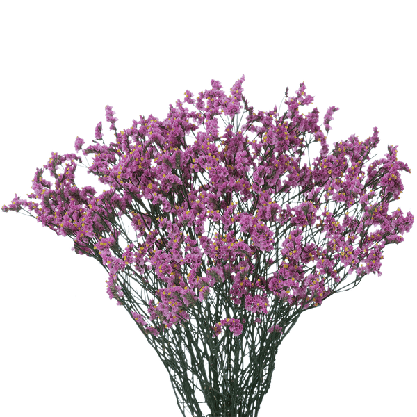 Rosado