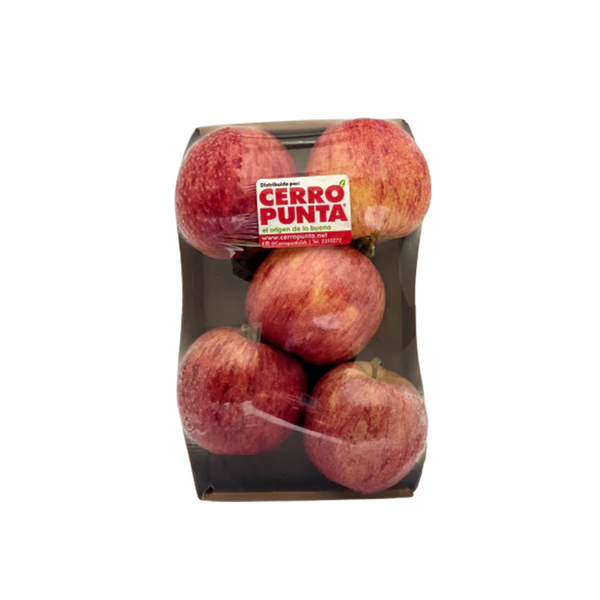 Manzana gala (5 unidades)